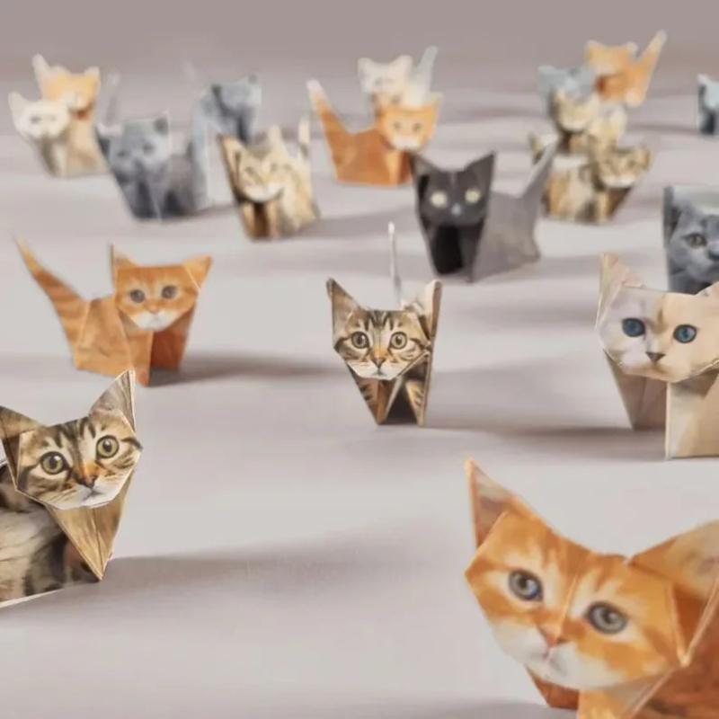 ชุดงานฝีมือพับกระดาษ DIY สร้าง - Art Craft Cat บทวิจารณ์และราคา